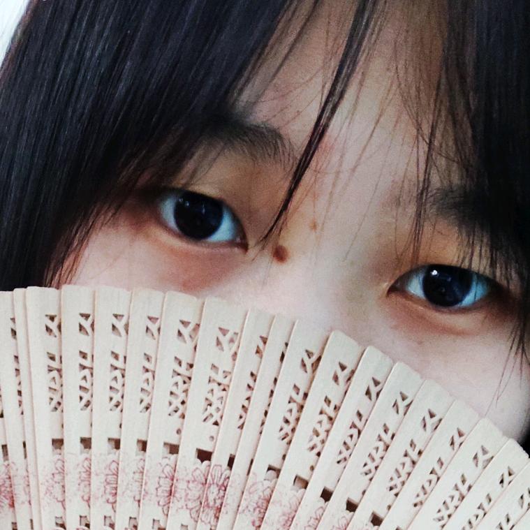 正经做梦头像