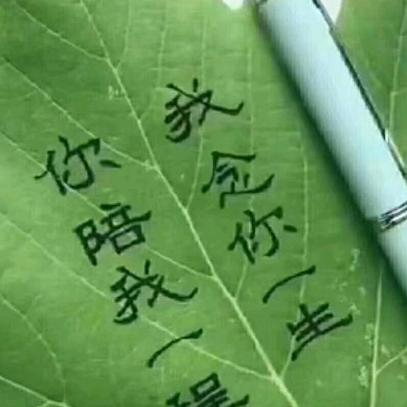 刘羽