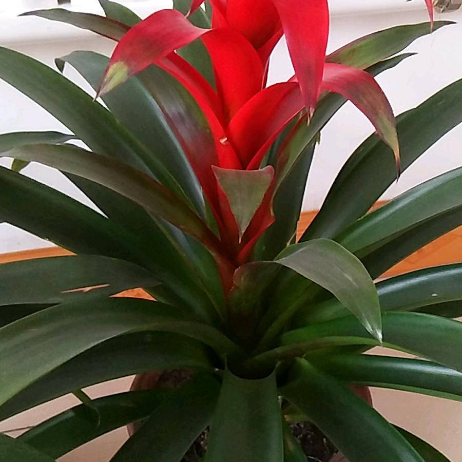 方圆装饰潘，外墙保温，仿石漆