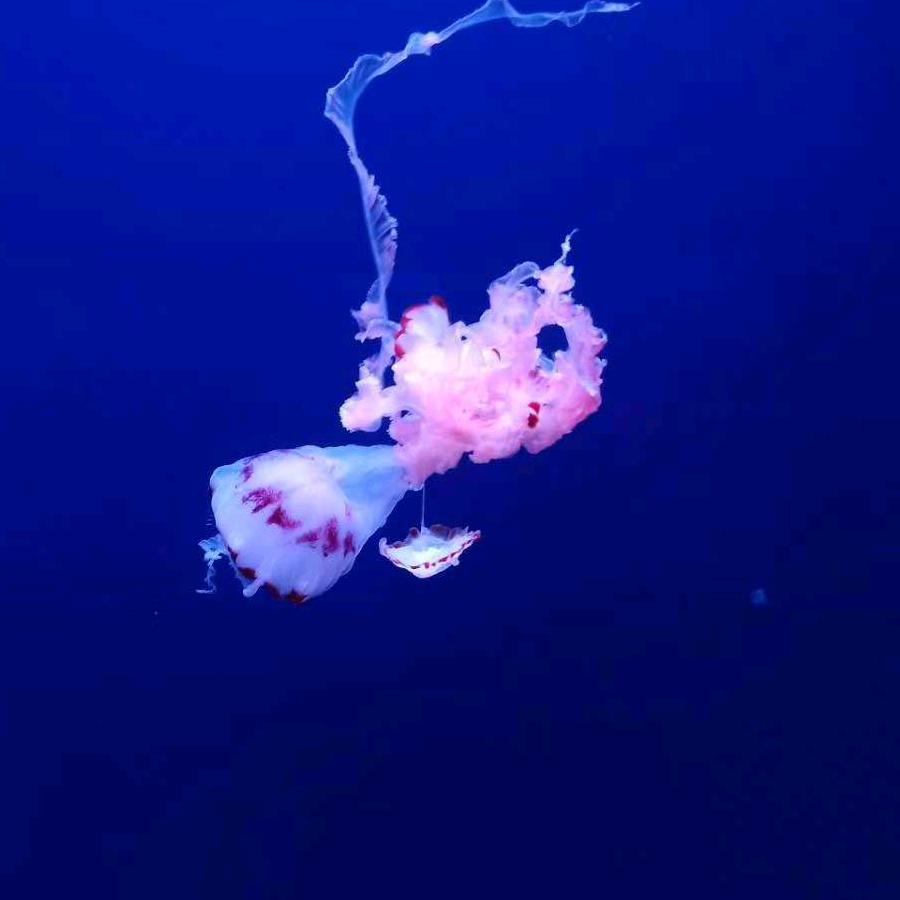 优诺爸比👊👊👊