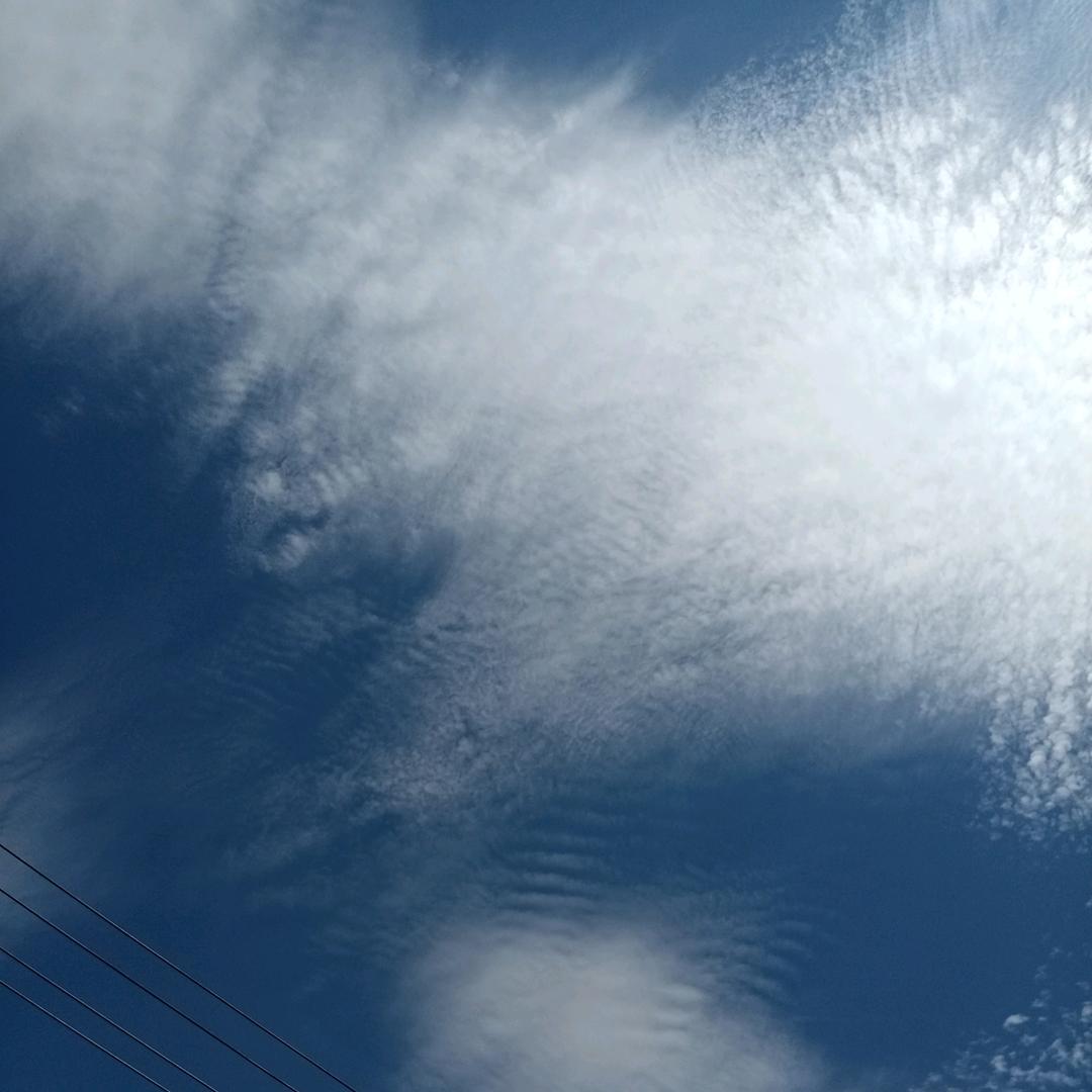 金乡二宽牛肉拉面店