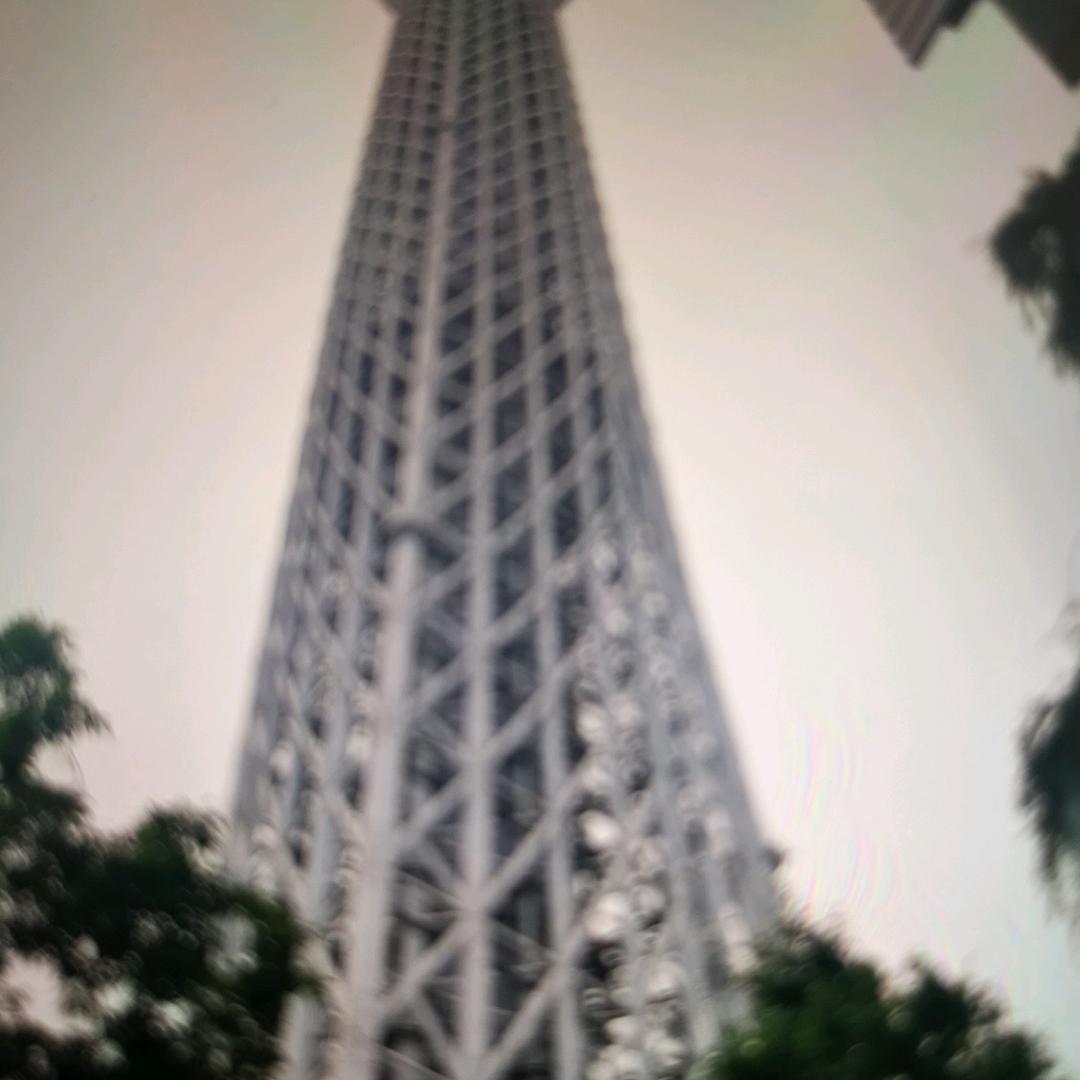 丽雅酒店官方号