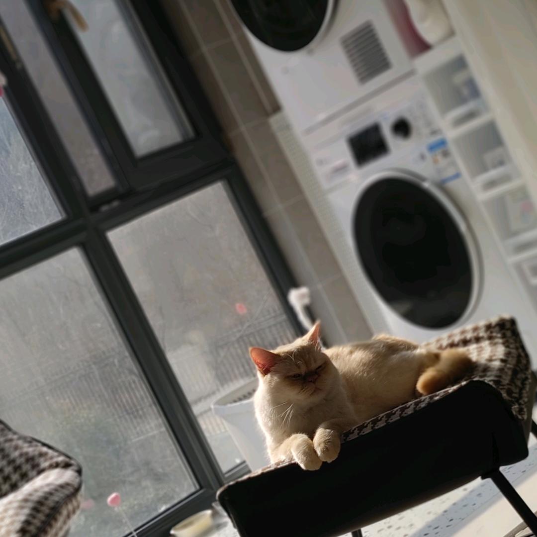 程序员手艺人