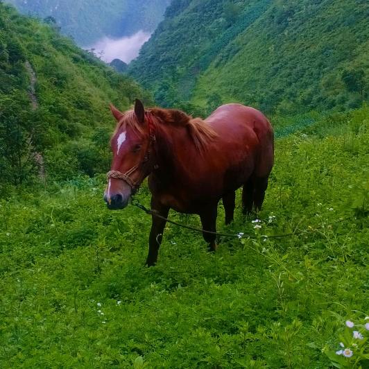 人的一生不知道有多少坎坎坷坷