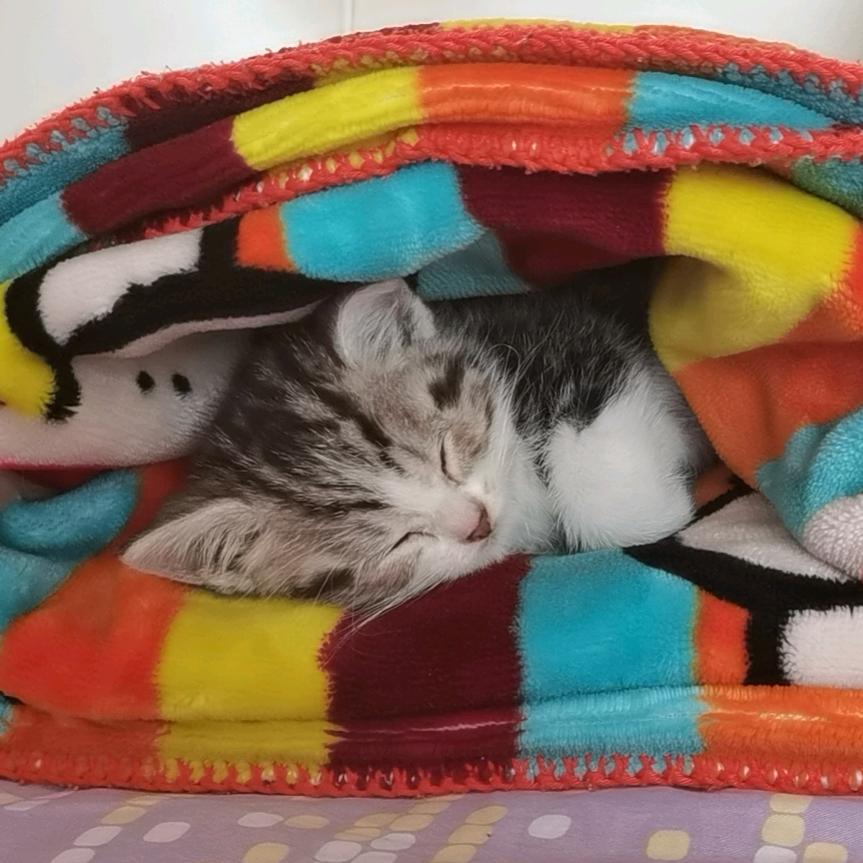 ༺ༀൢ杰.奕 ൢༀ༻