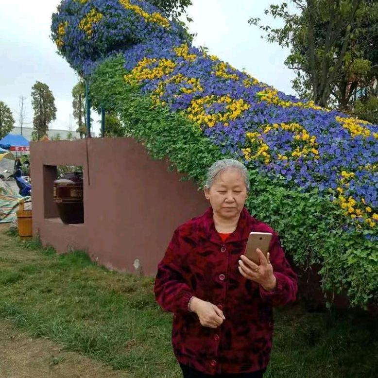 老任