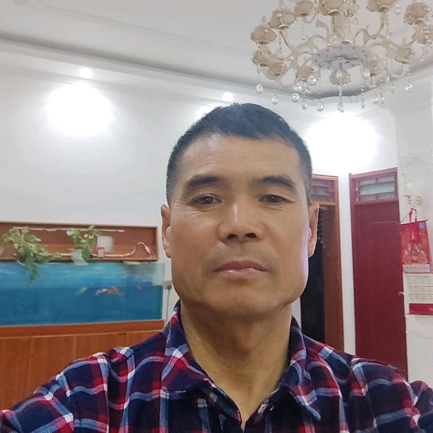 杨收