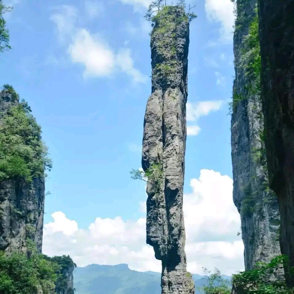 GOG方紅