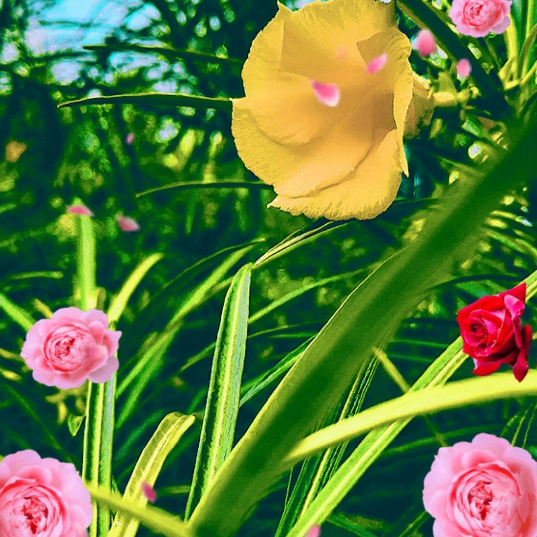 5120，抢个心心送过主播