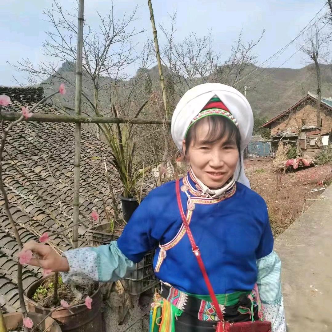 小芹菜