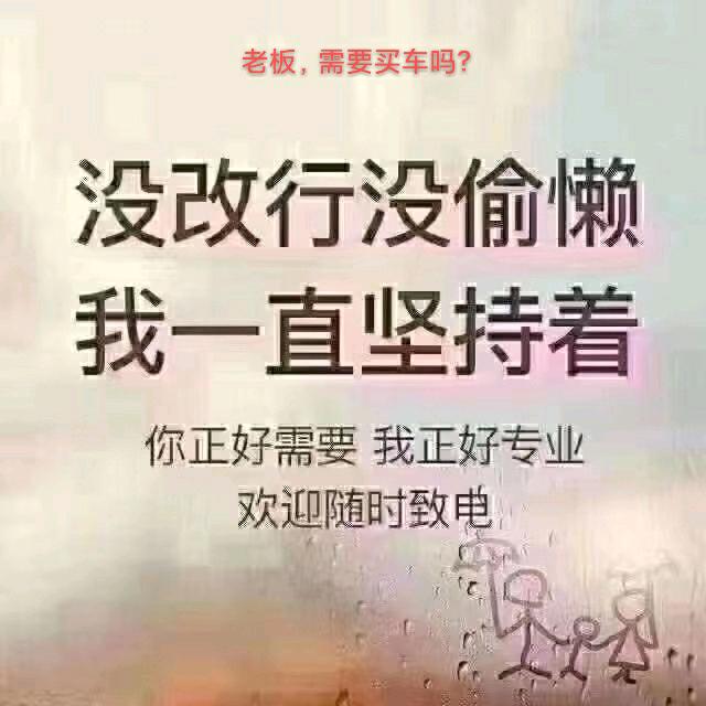 杜哥迈车