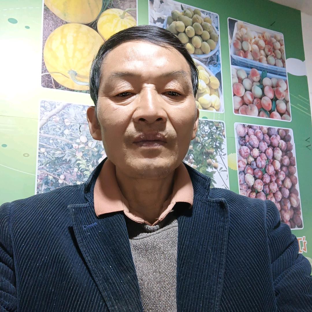 桂村台明