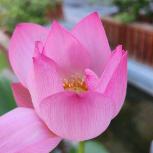 大姐大分享日常