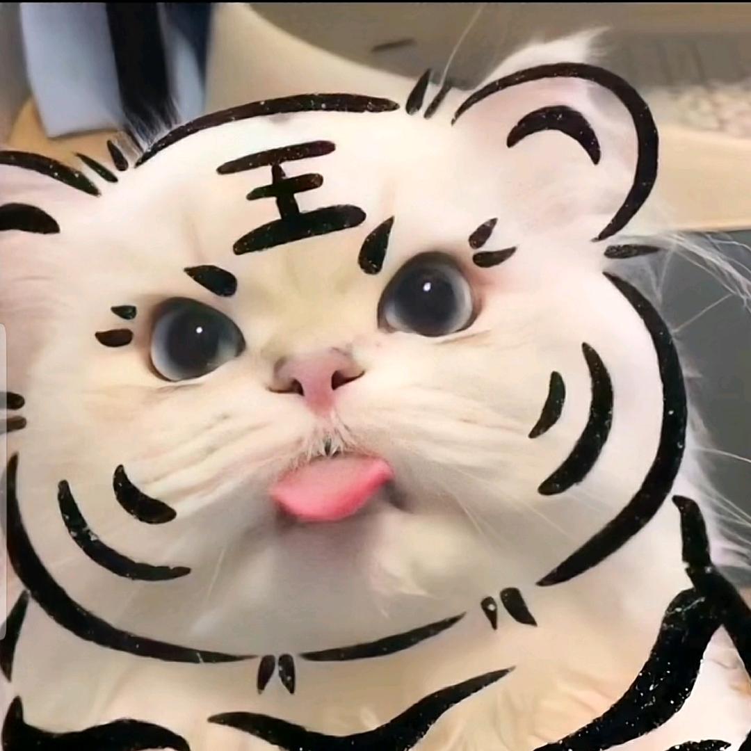 繁星点点宠物生活馆