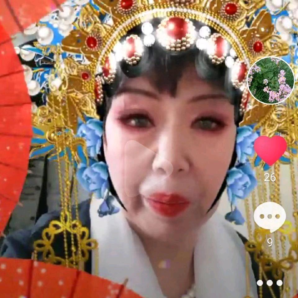君子兰