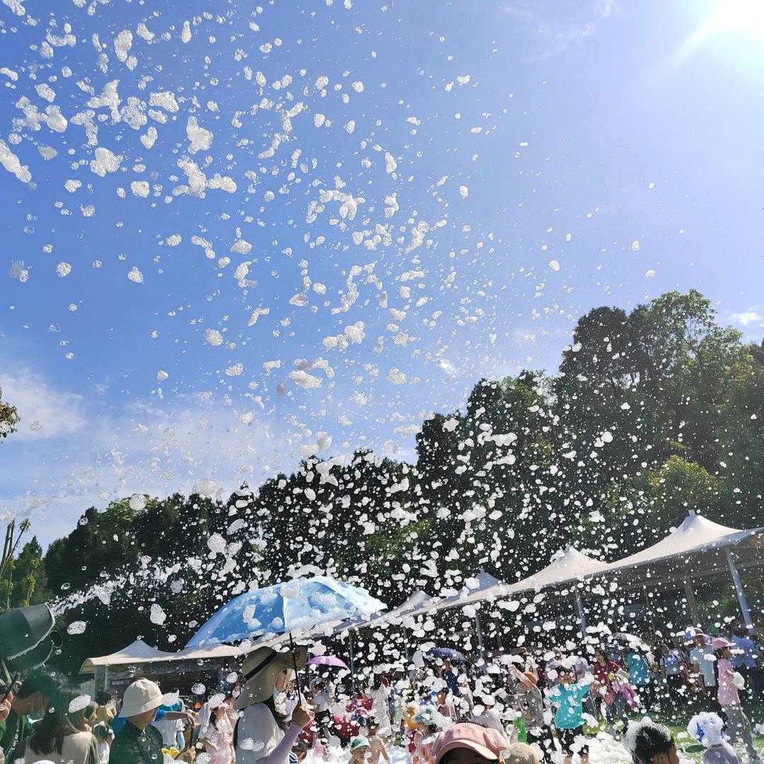 家有老小