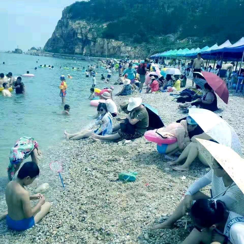 随心所欲
