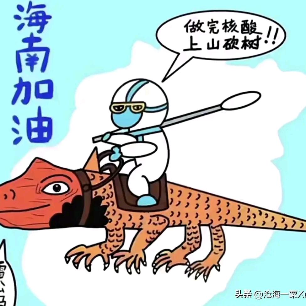 心有林汐
