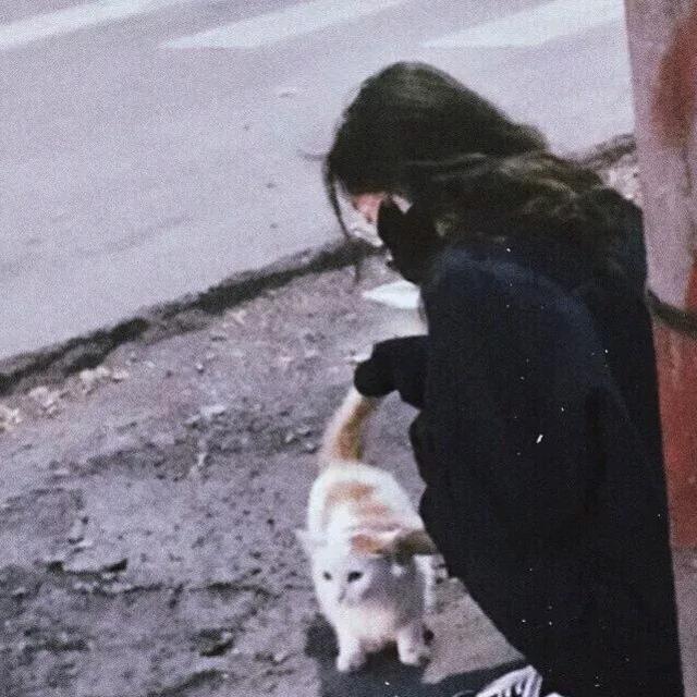 ⋆头像