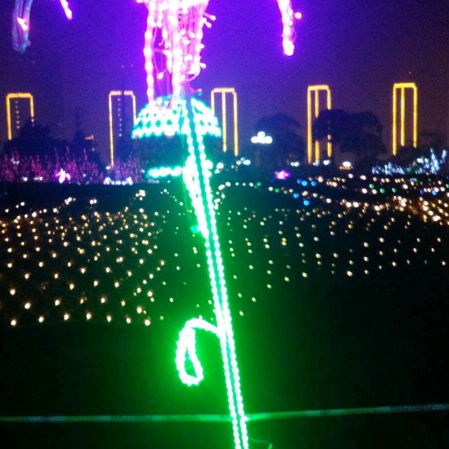 情为何物💃💃💃💃💃