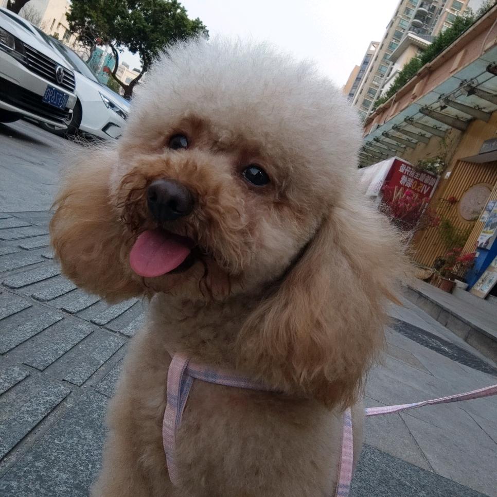 风吹随他去