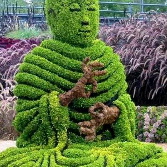 🌹开心一笑🌻