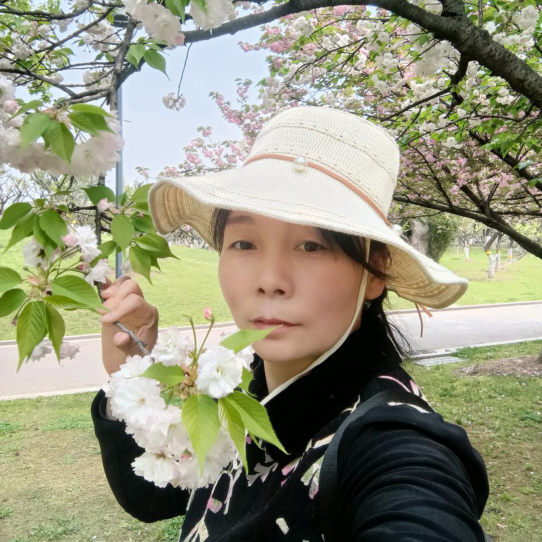 六月玫瑰