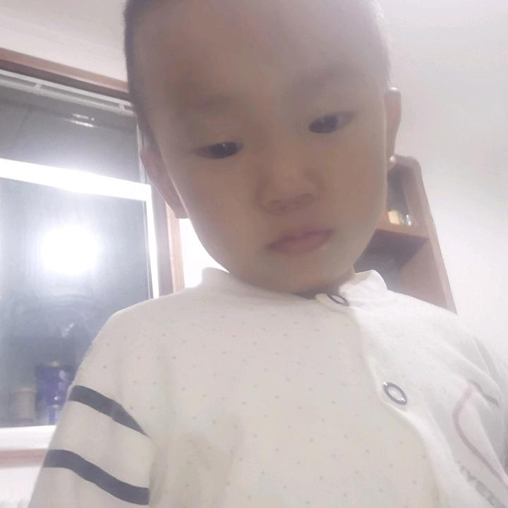 富贵海棠