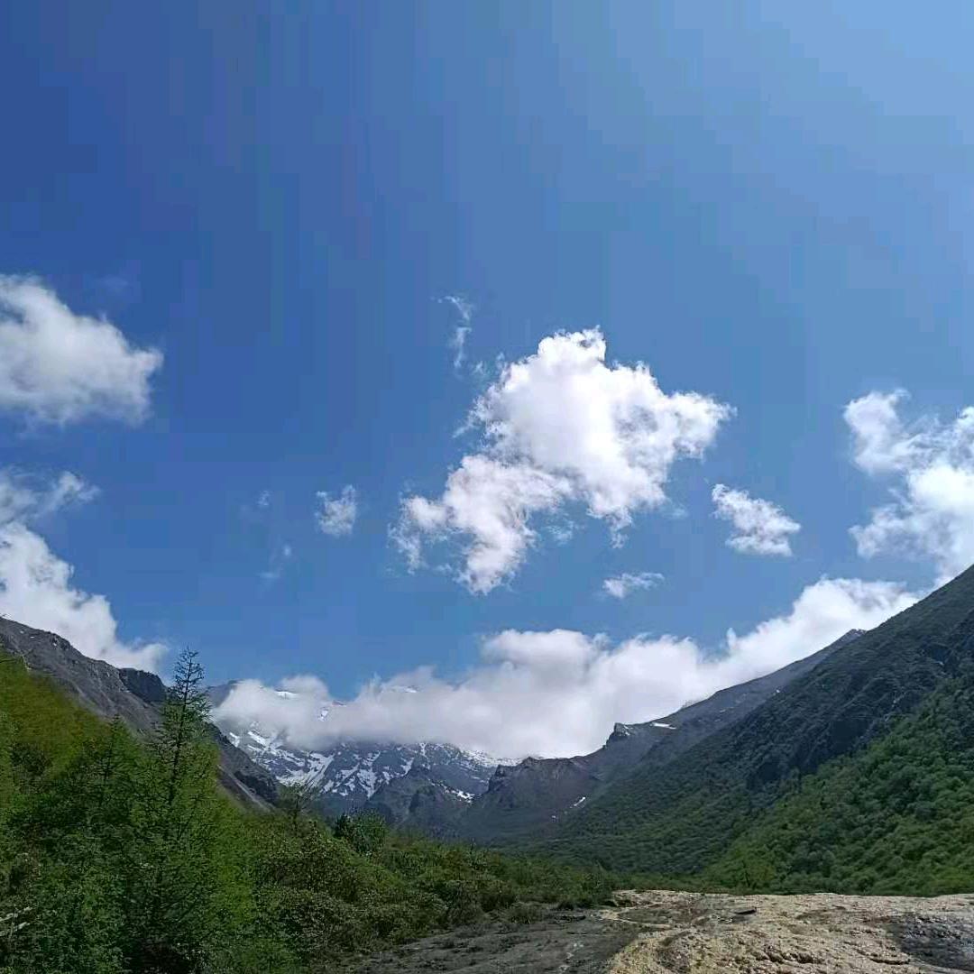 幸运朱✨✨✨✨