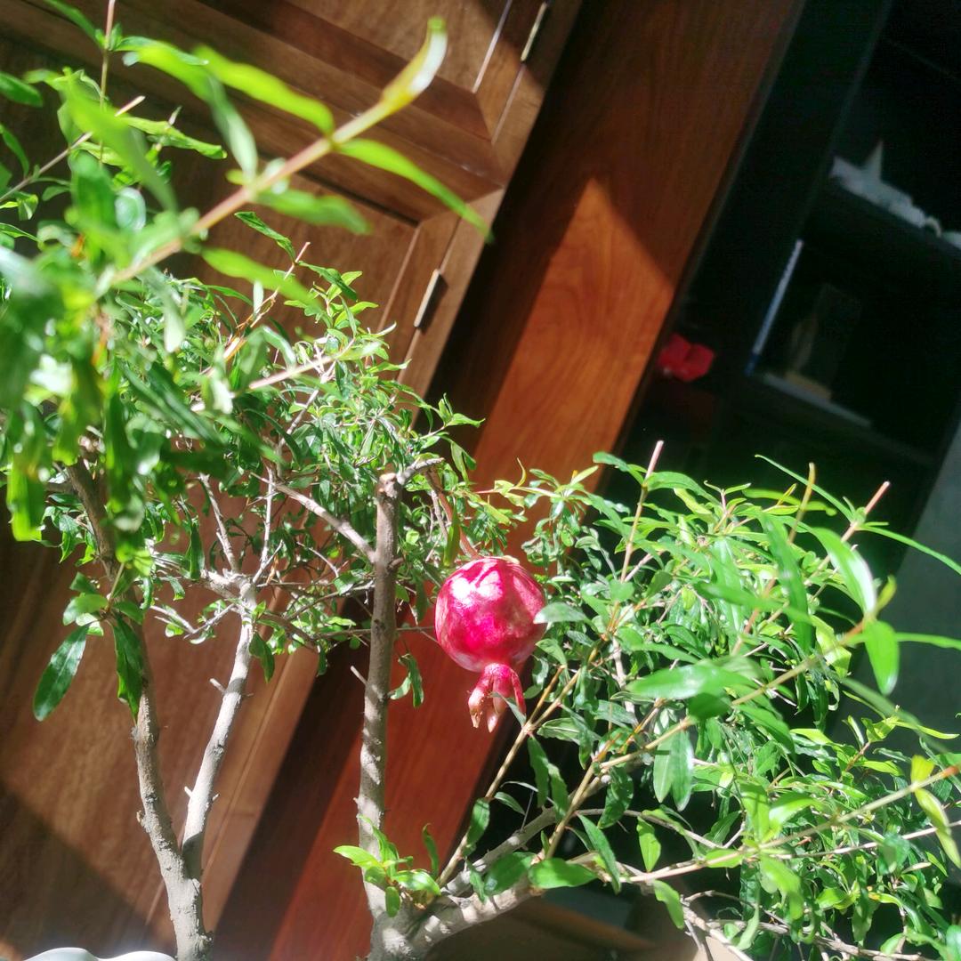 河南思梦苑装饰工程有限公司