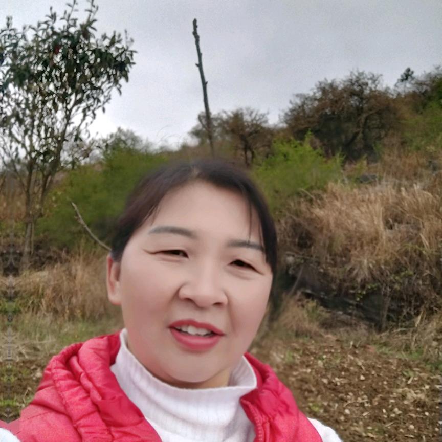 付艳