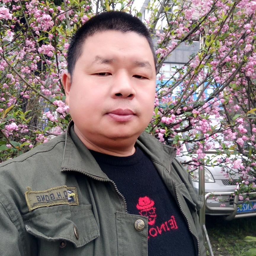 脚踏石地