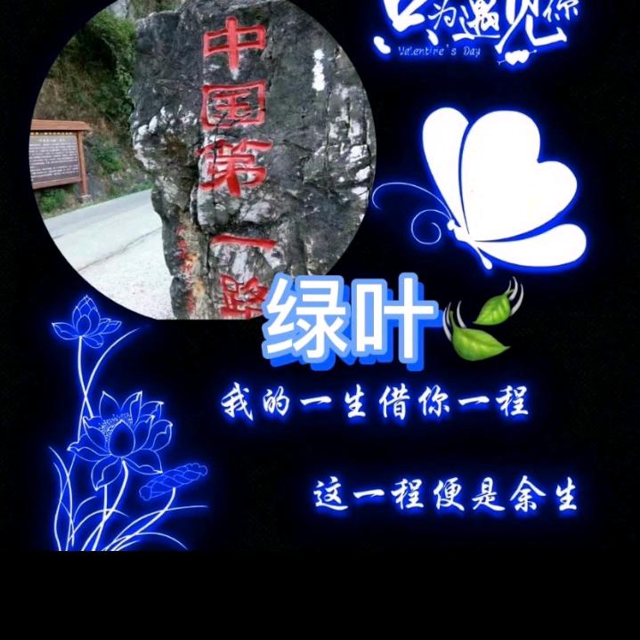 绿叶