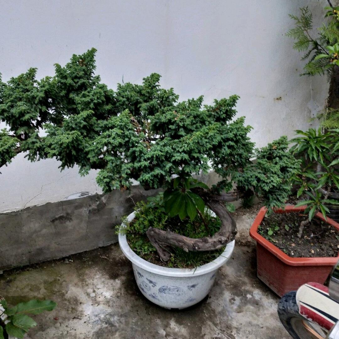 @顺其自然@