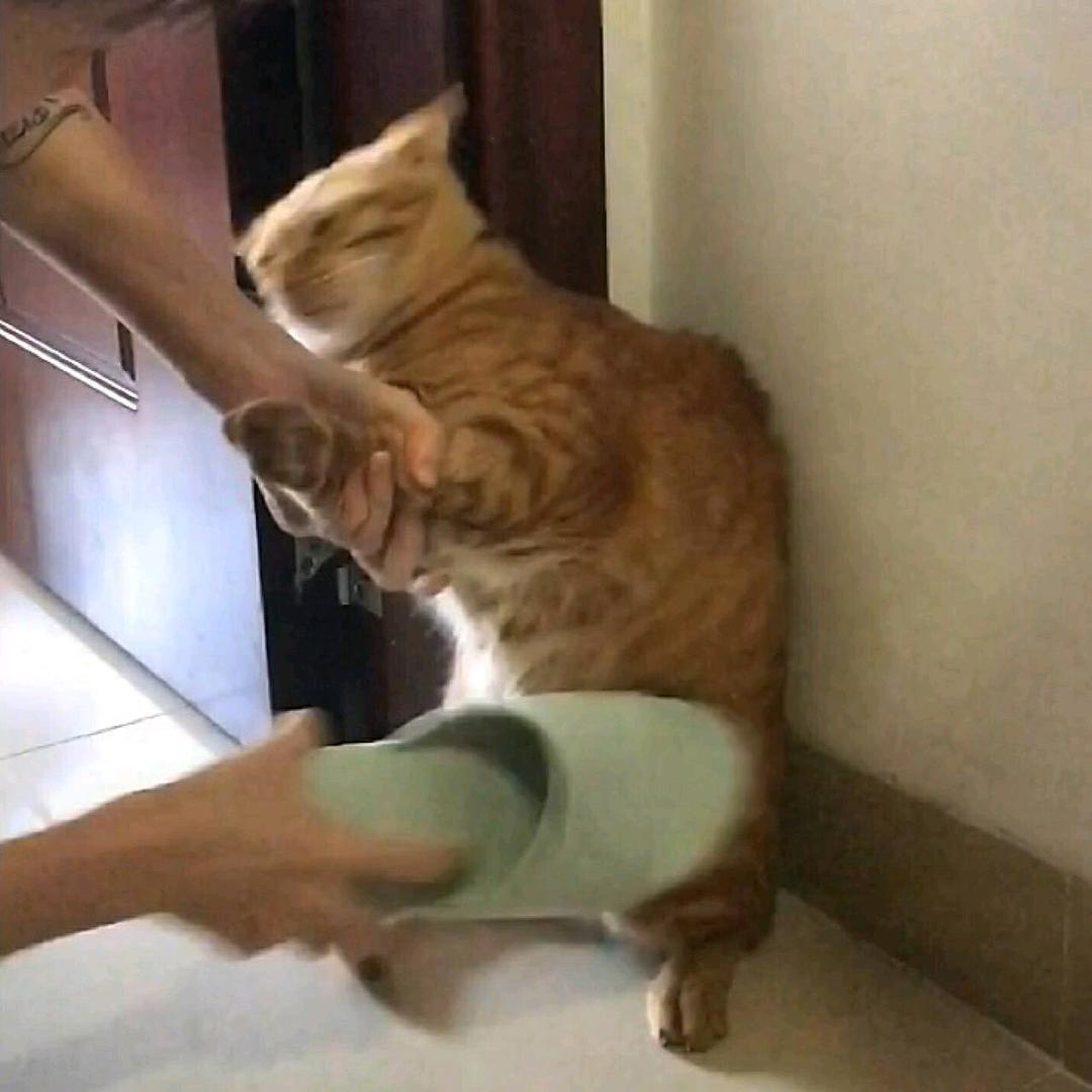鈊小默