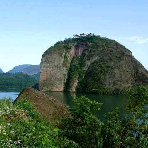 名知顾问