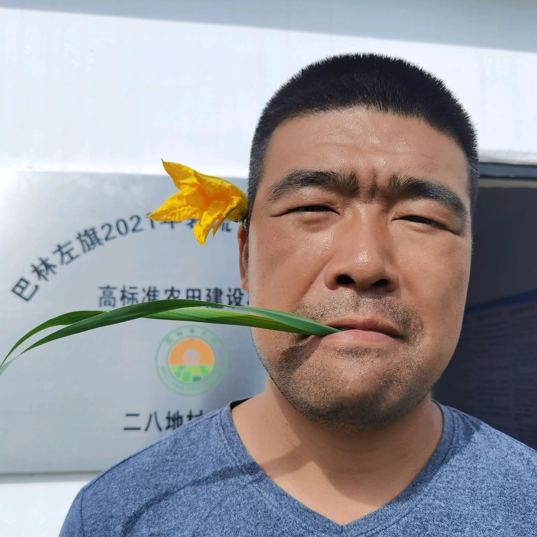 王多菜