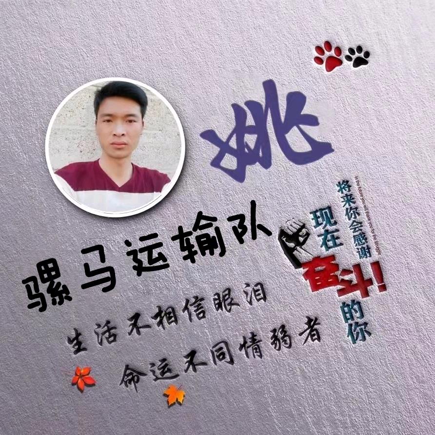 骡马运输队