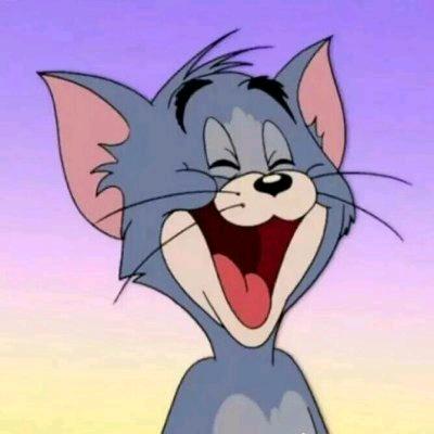 汤姆猫
