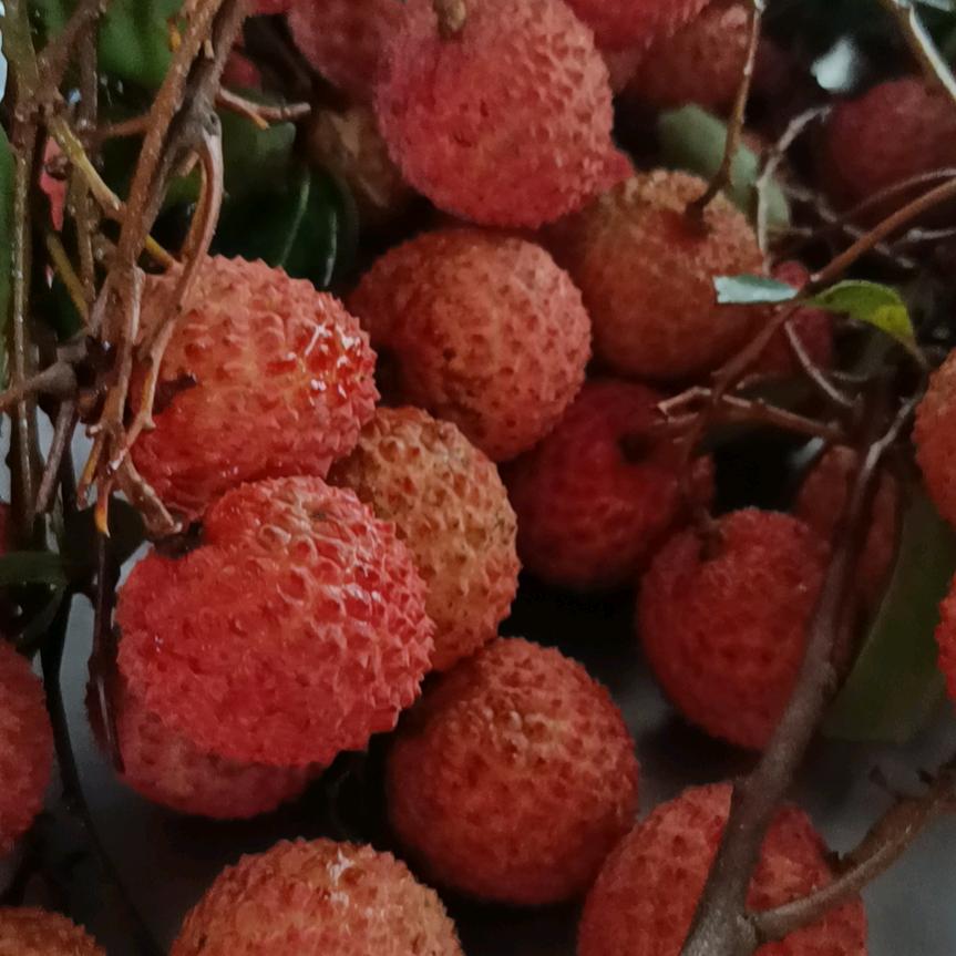 💑💑原来牙齿