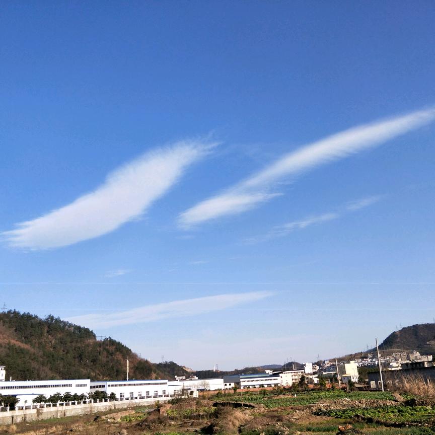 蓝翔技校一站式取证通