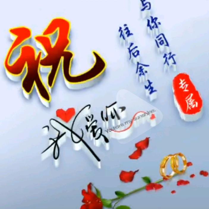 九月菊