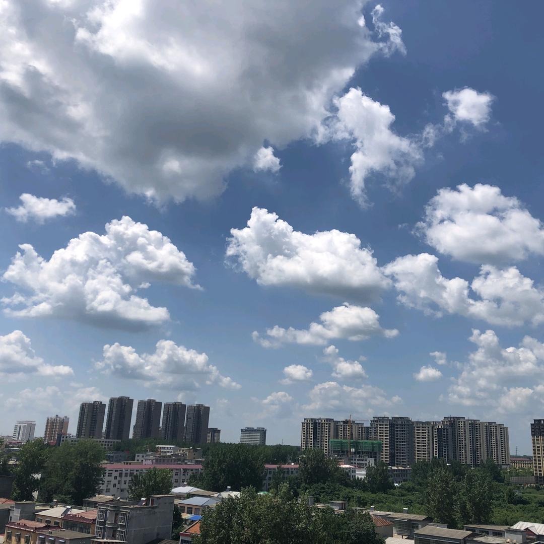 平舆县正达汽贸