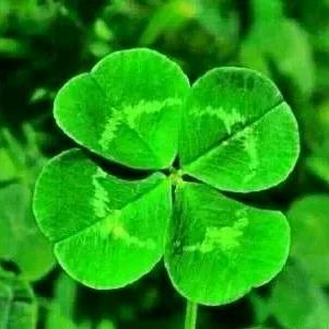 四月🍀