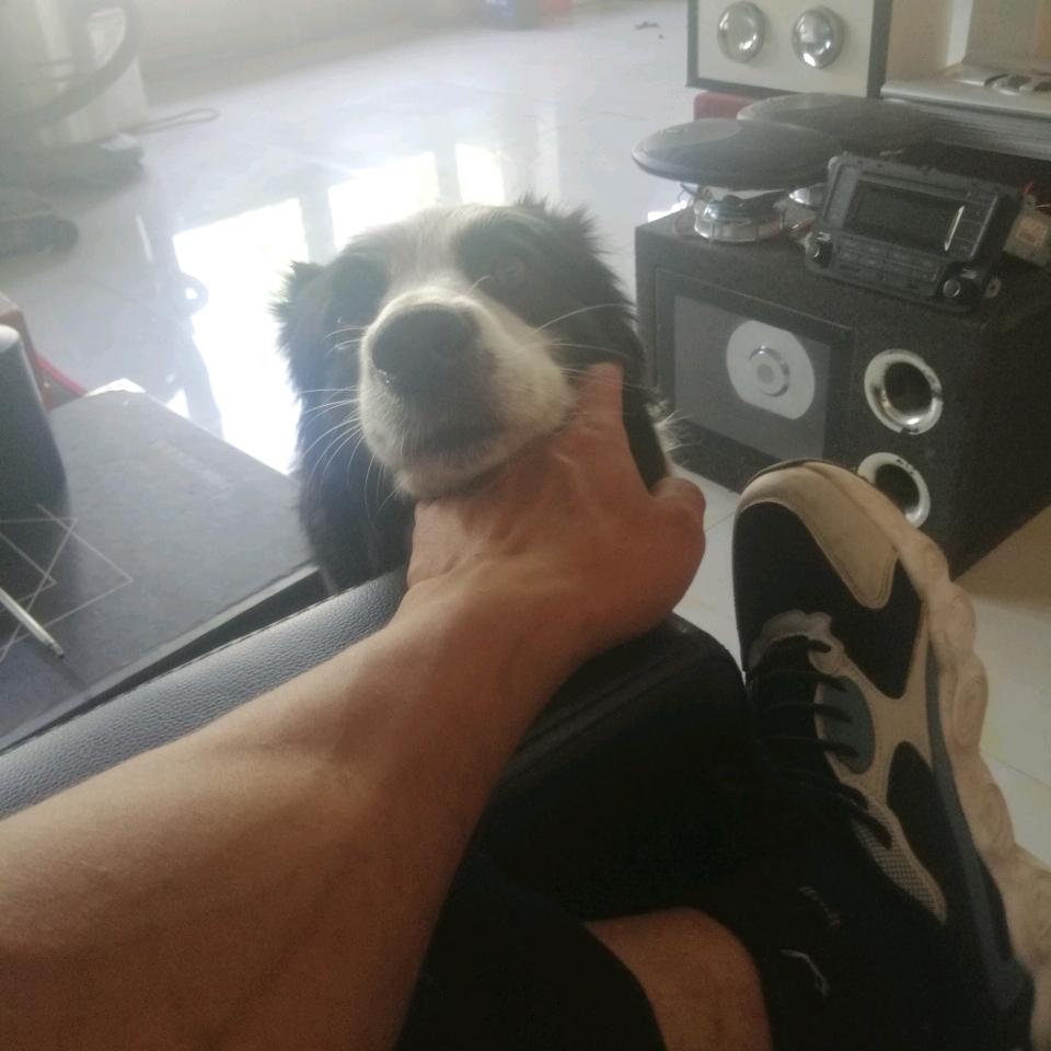 清如止水