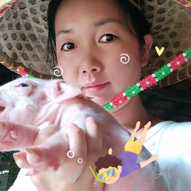 芯烨墨宝