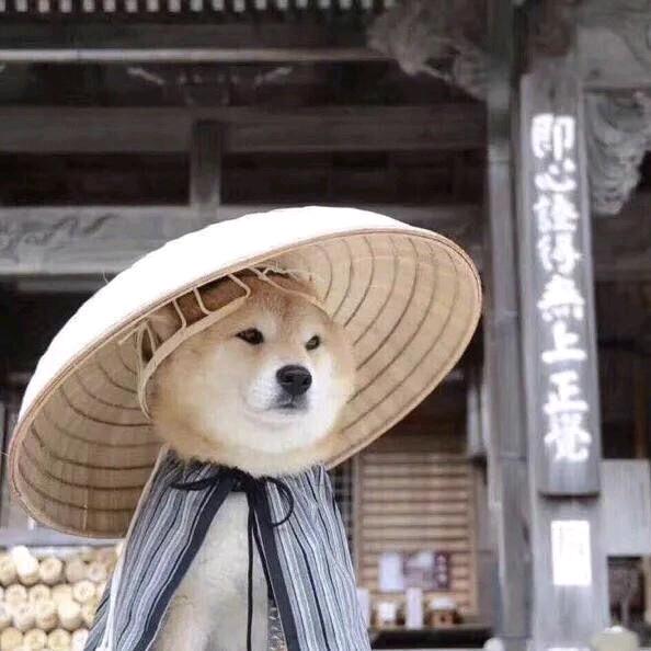 新余蔡徐分坤