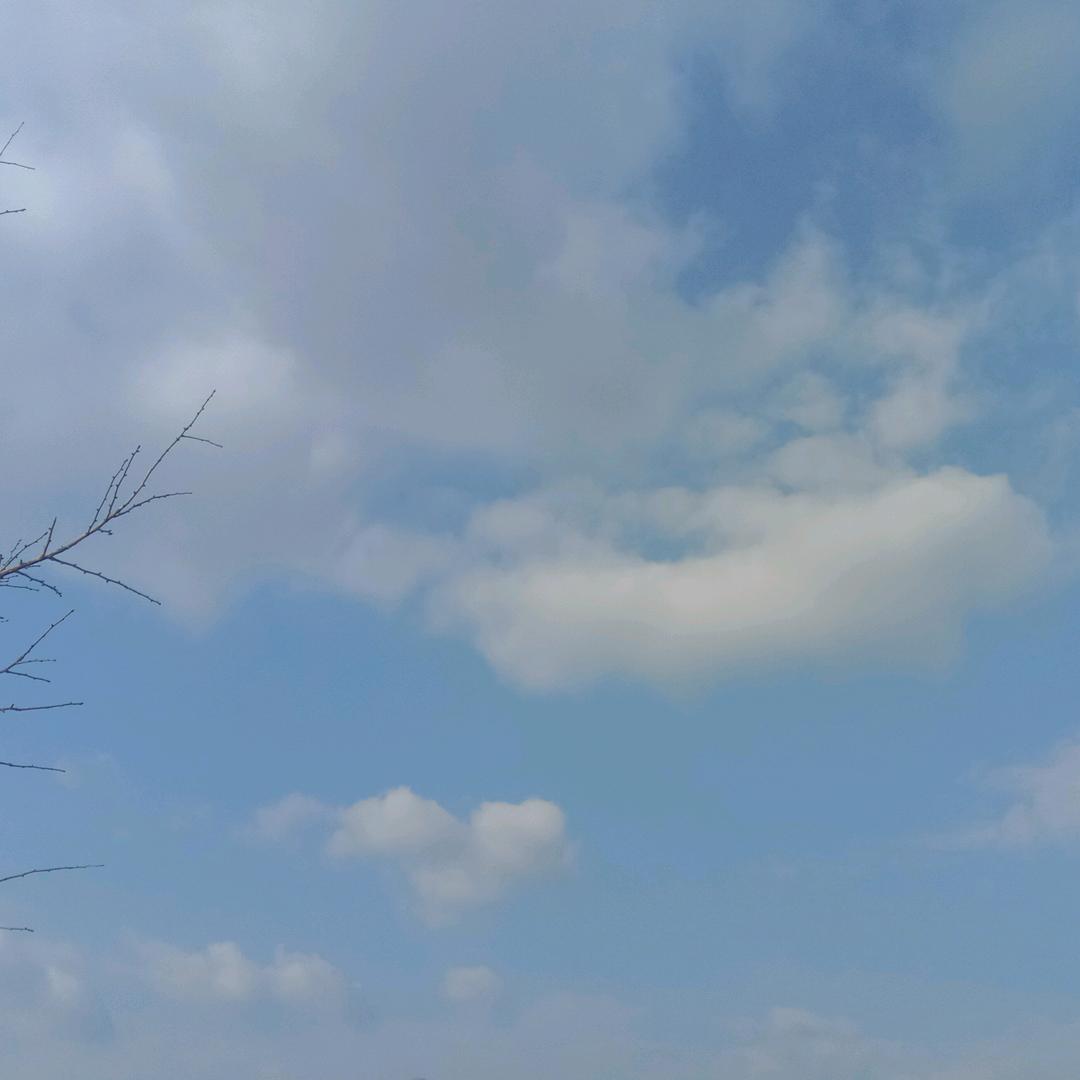 袁