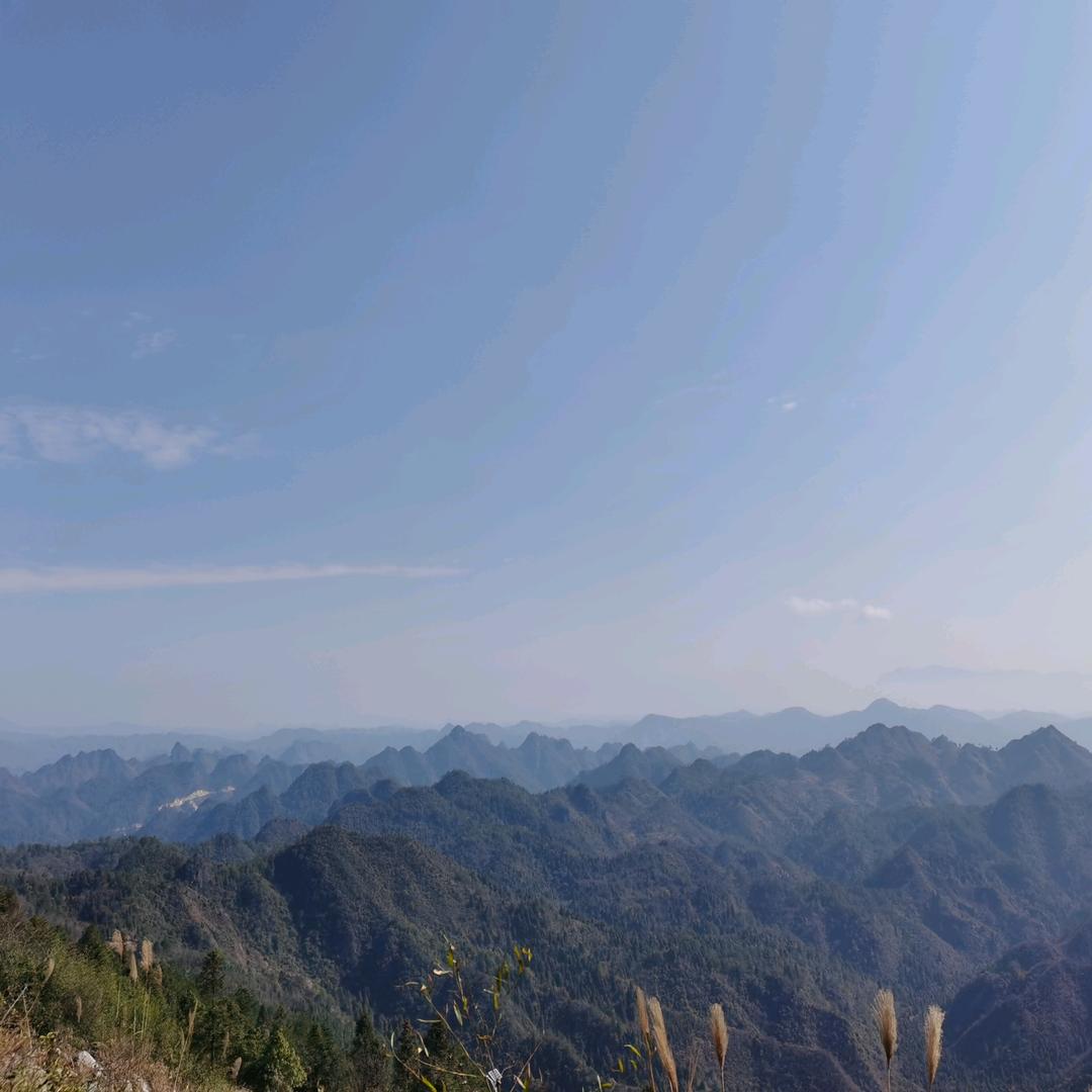 半身风雨，半身伤