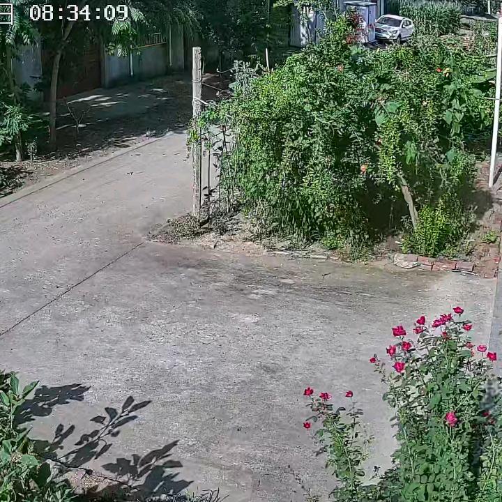 美好^O^人生